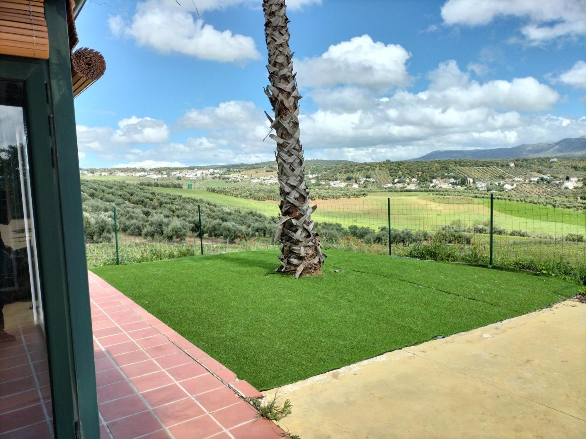Bodegas Morosanto Lägenhet La Cimada Exteriör bild